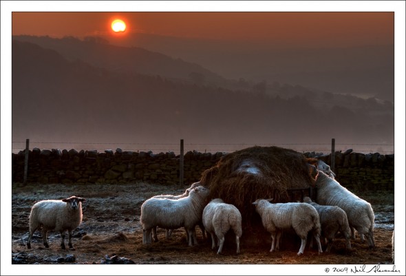wpid758-Best-of-2009-Lge-1-590x401.jpg