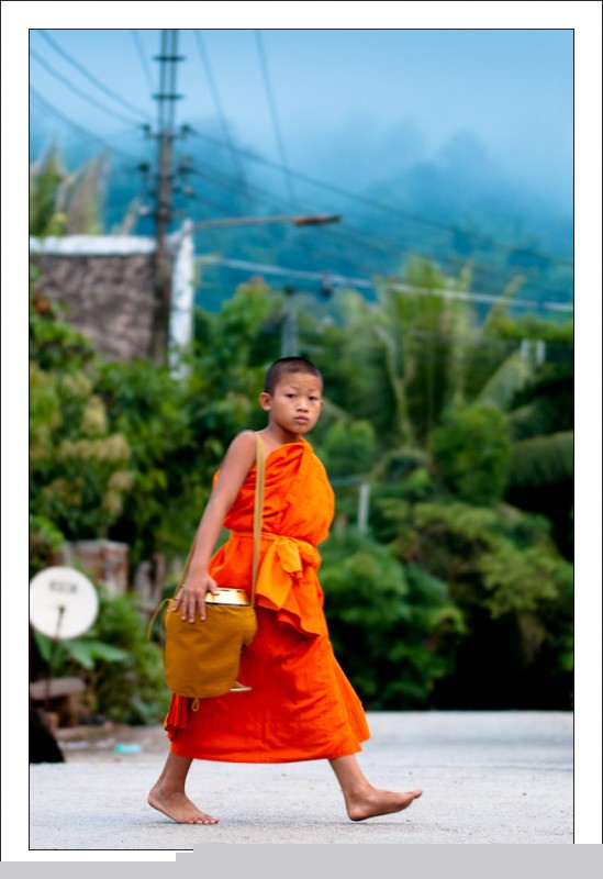 A young monk on the streets of Luang Prabang collecting alms by Neil Alexander