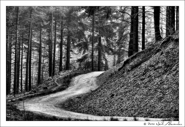 wpid919-Macclesfield-Forest-by-Neil-Alexander-Lge-2-650x446.jpg
