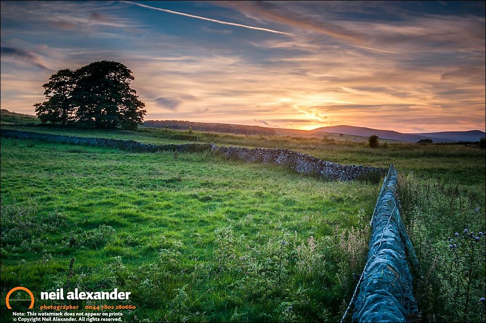 Lonely tree at sunset, near Bakewell, Peak District. Processed in LR Enfuse and Lightroom.