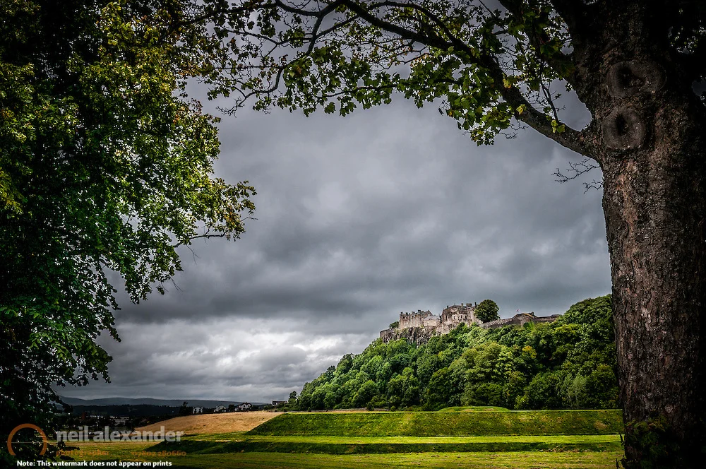 Using nature to frame the subject