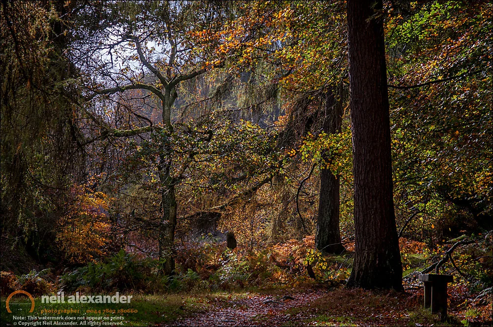 You will see light in the darkness