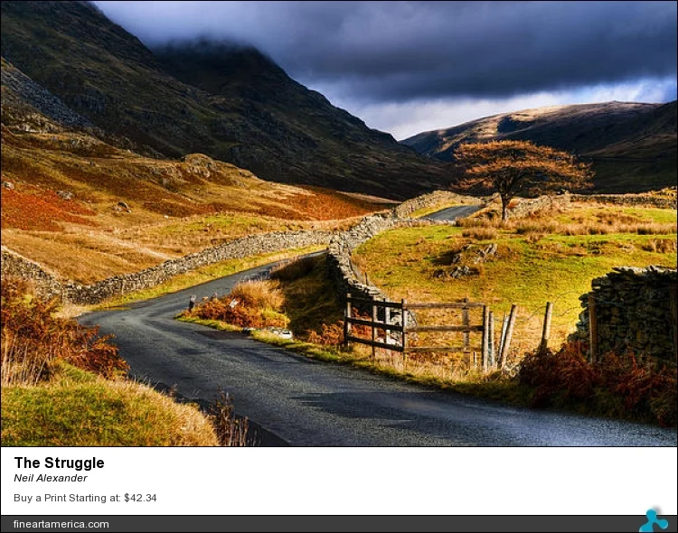 More prints for sale