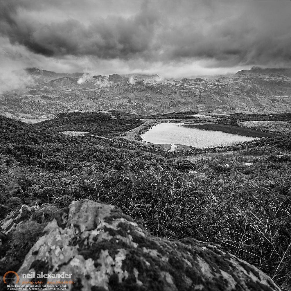 Overlooking Alcock Tarn in the Lake District
