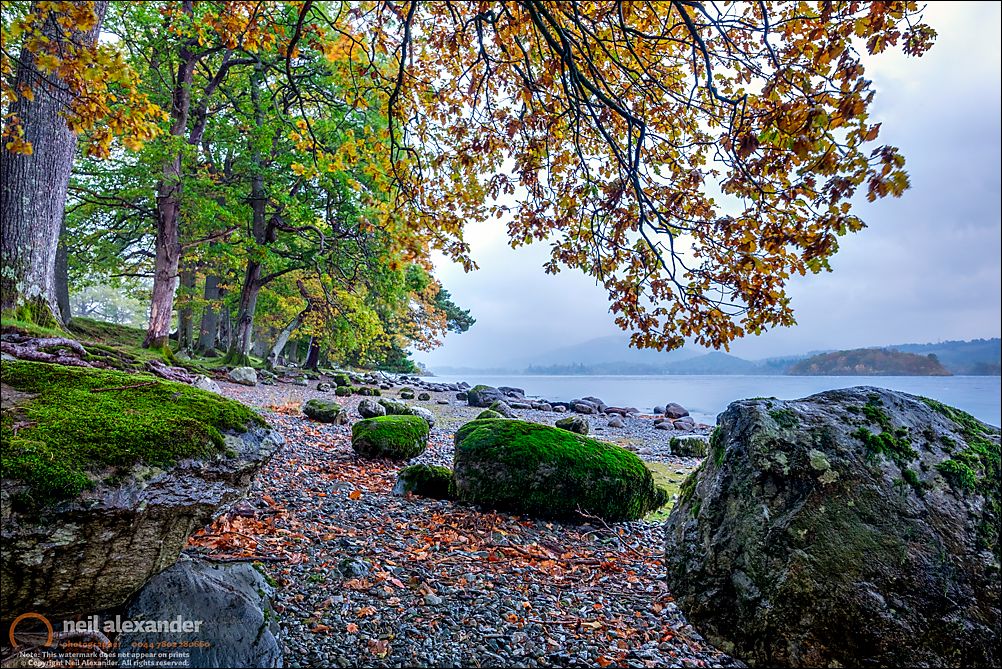 Autumnal Derwent Water shoreline