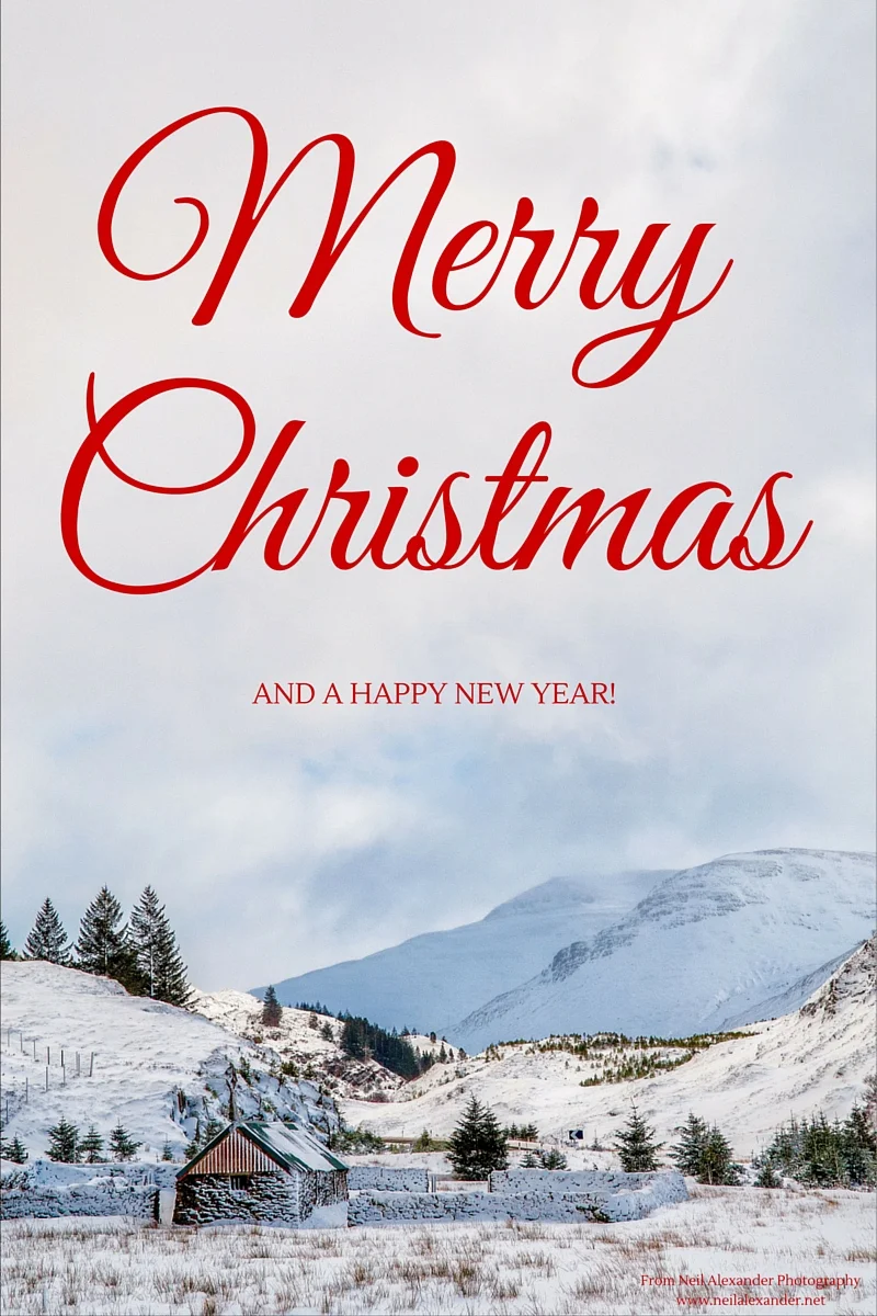 Merry Christmas to you all!