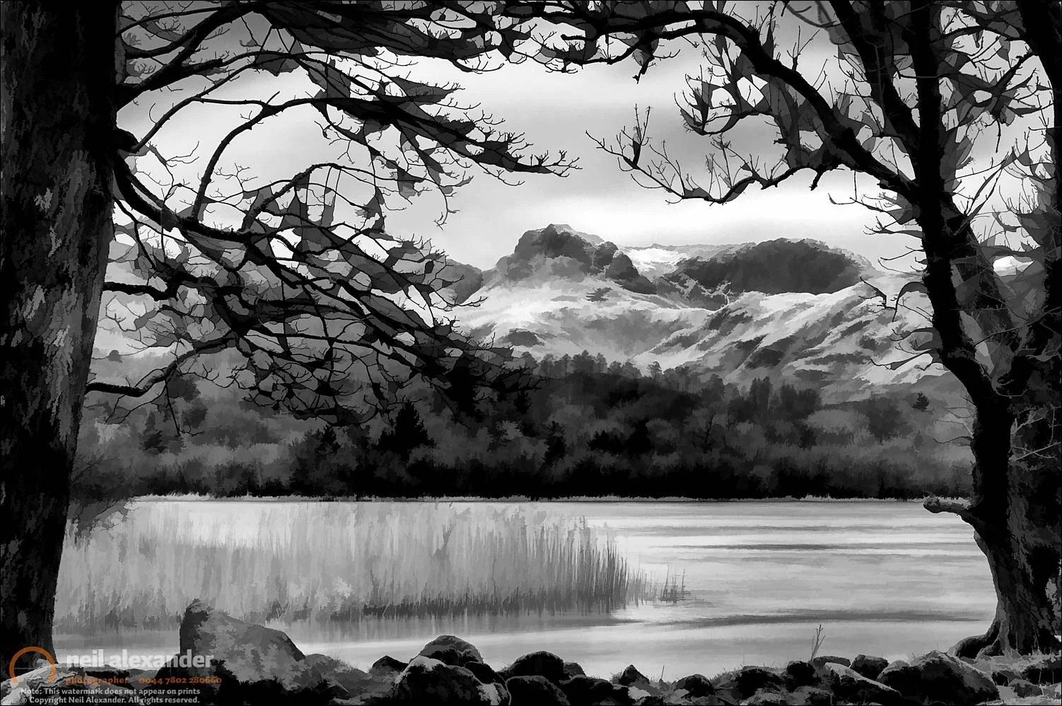 Lingmoor Fell, Lake District