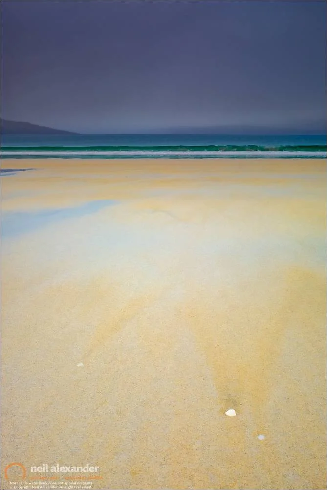 Shells On Luskentyre Beach, Harris