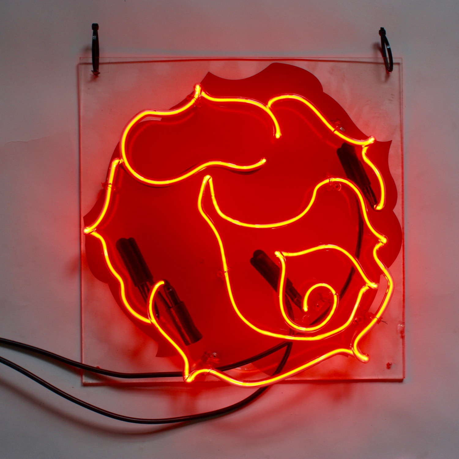 Neon 101 The Neon Company