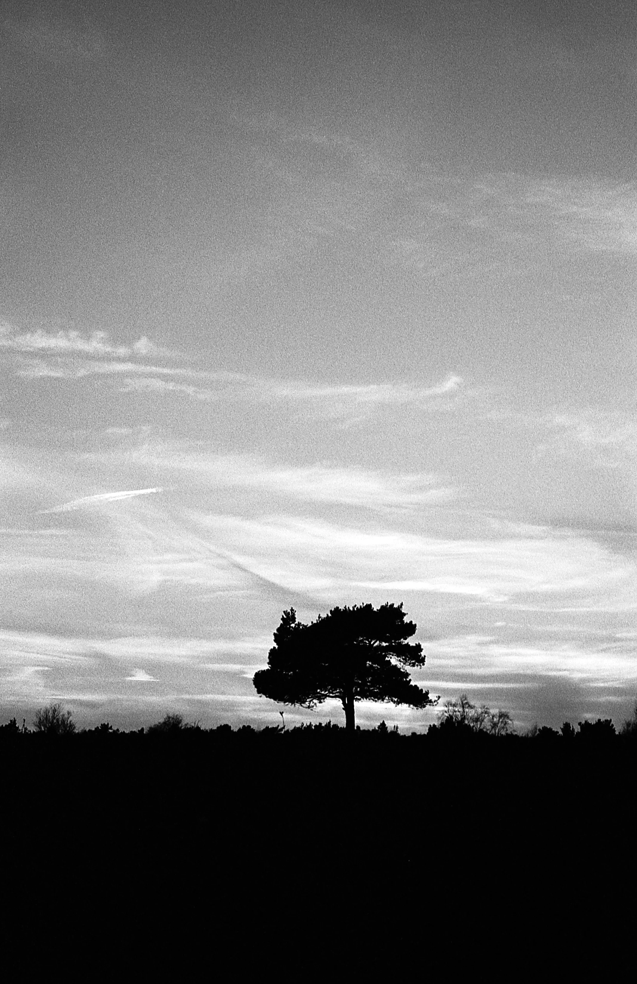 Tri-x 35mm053.jpg