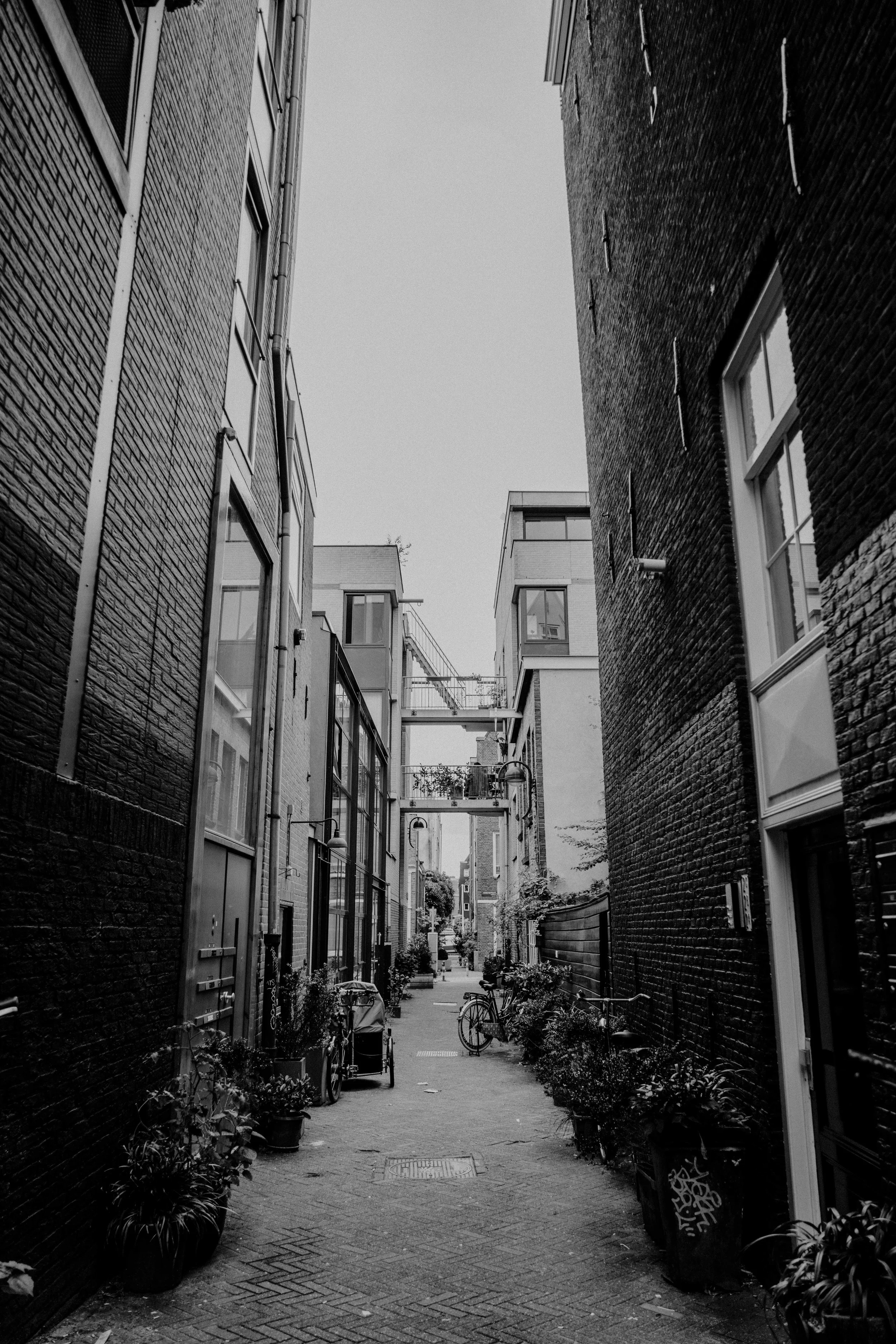 DSC03792.jpg