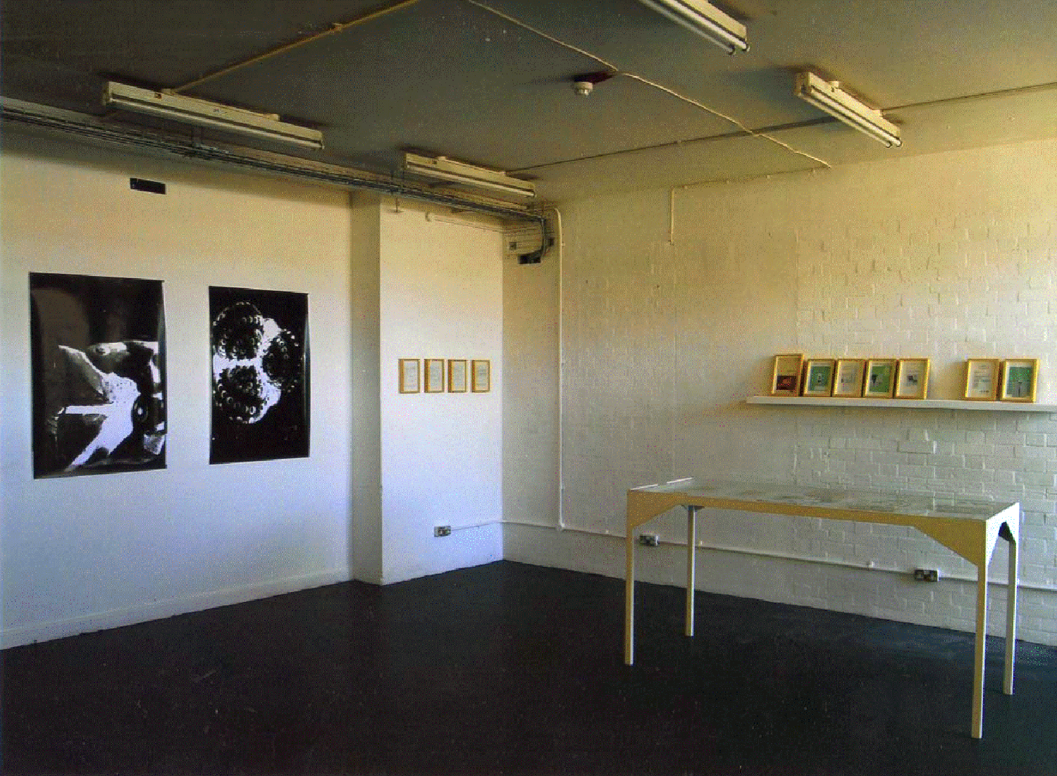 inst.Data Constraints exhibition.gif