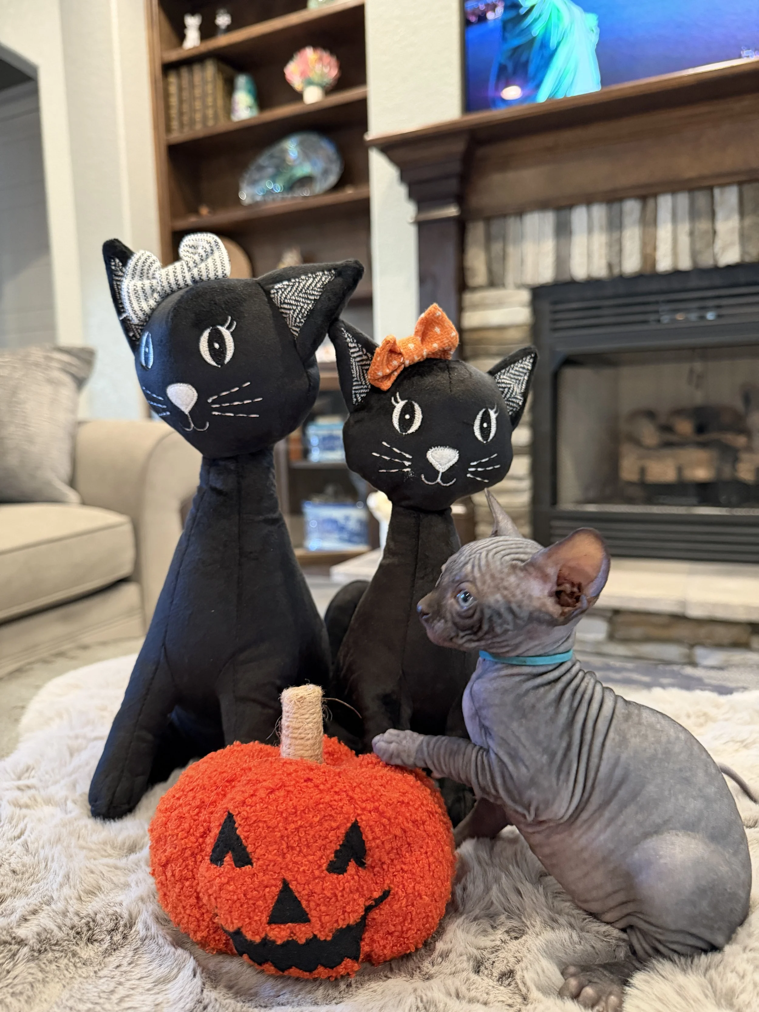 IMG_8009.JPG