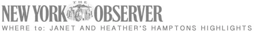 Observer02.jpg