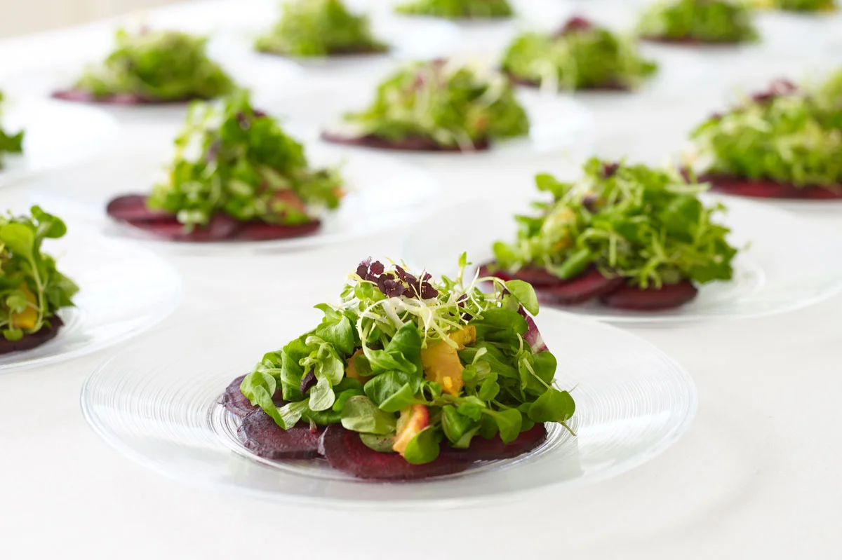 Plated composition salads with a touch of good water farms dark opal basil
