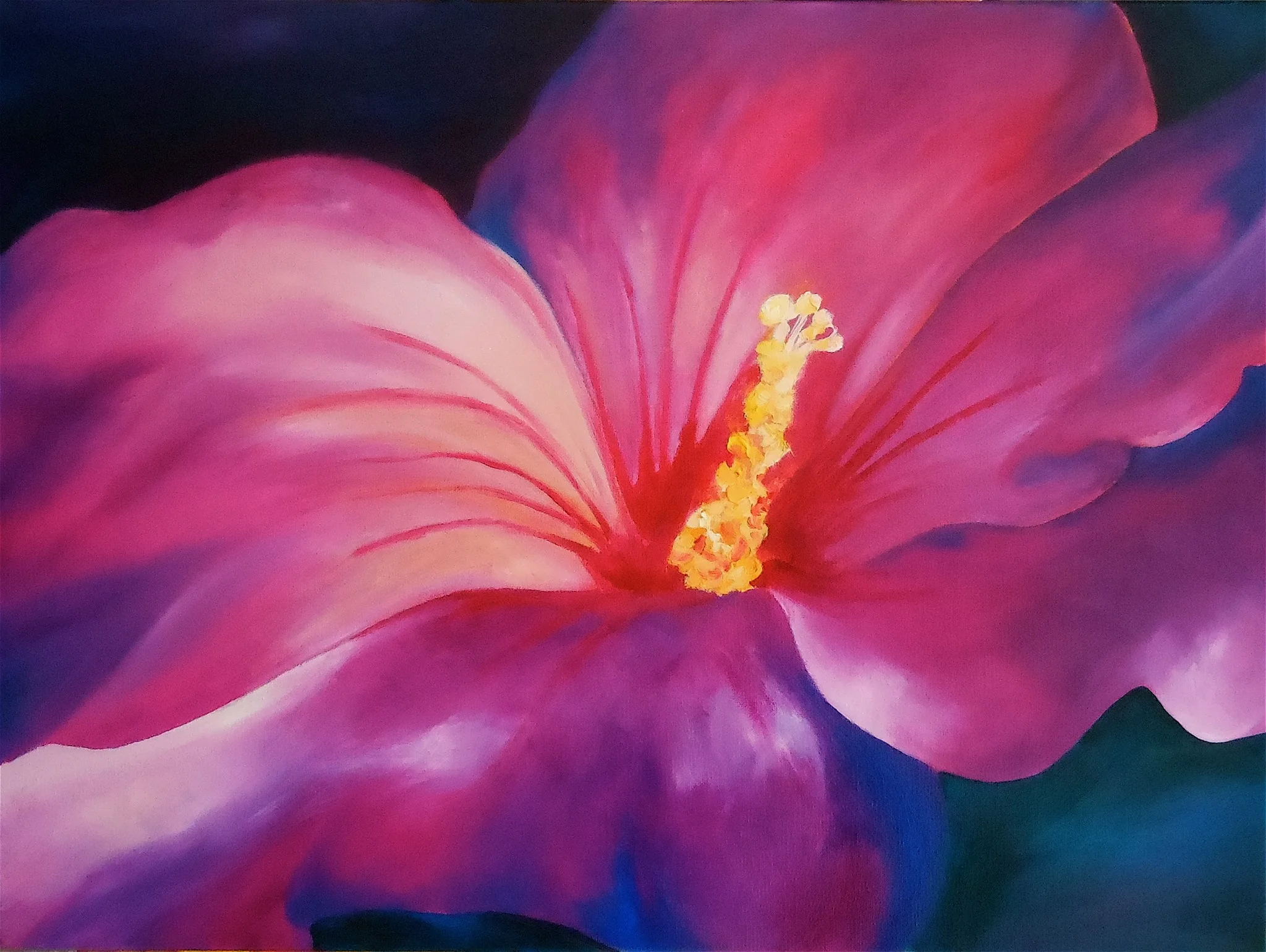 Hibiscus