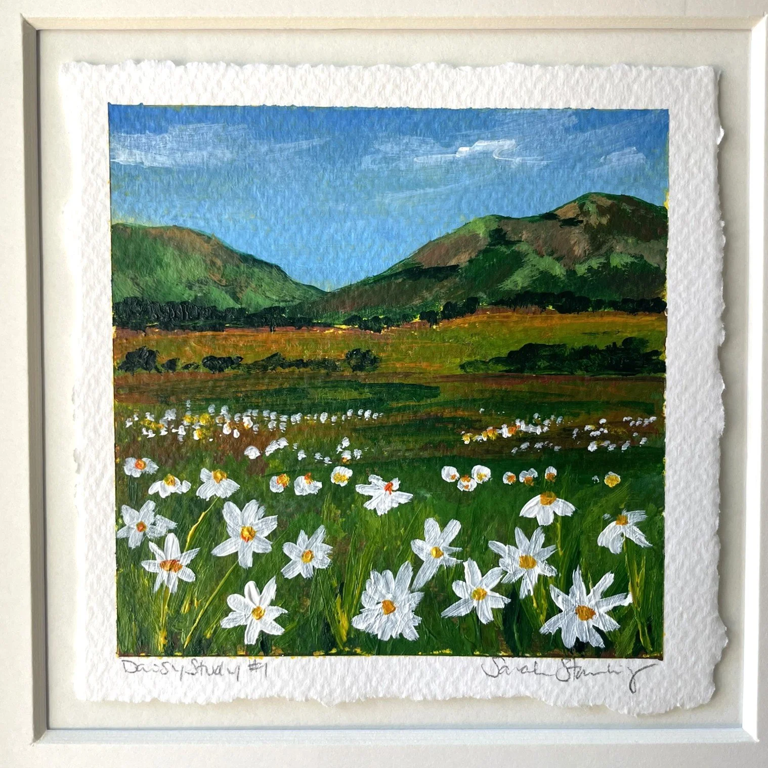 Daisy Study 1 close up.JPEG