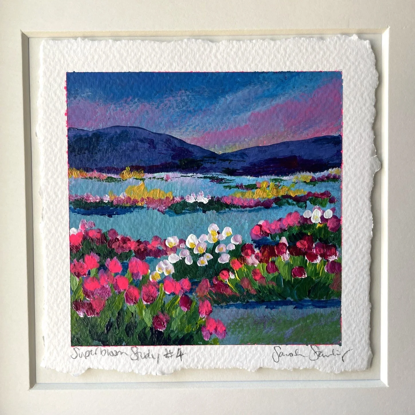 Superbloom study 4.JPEG