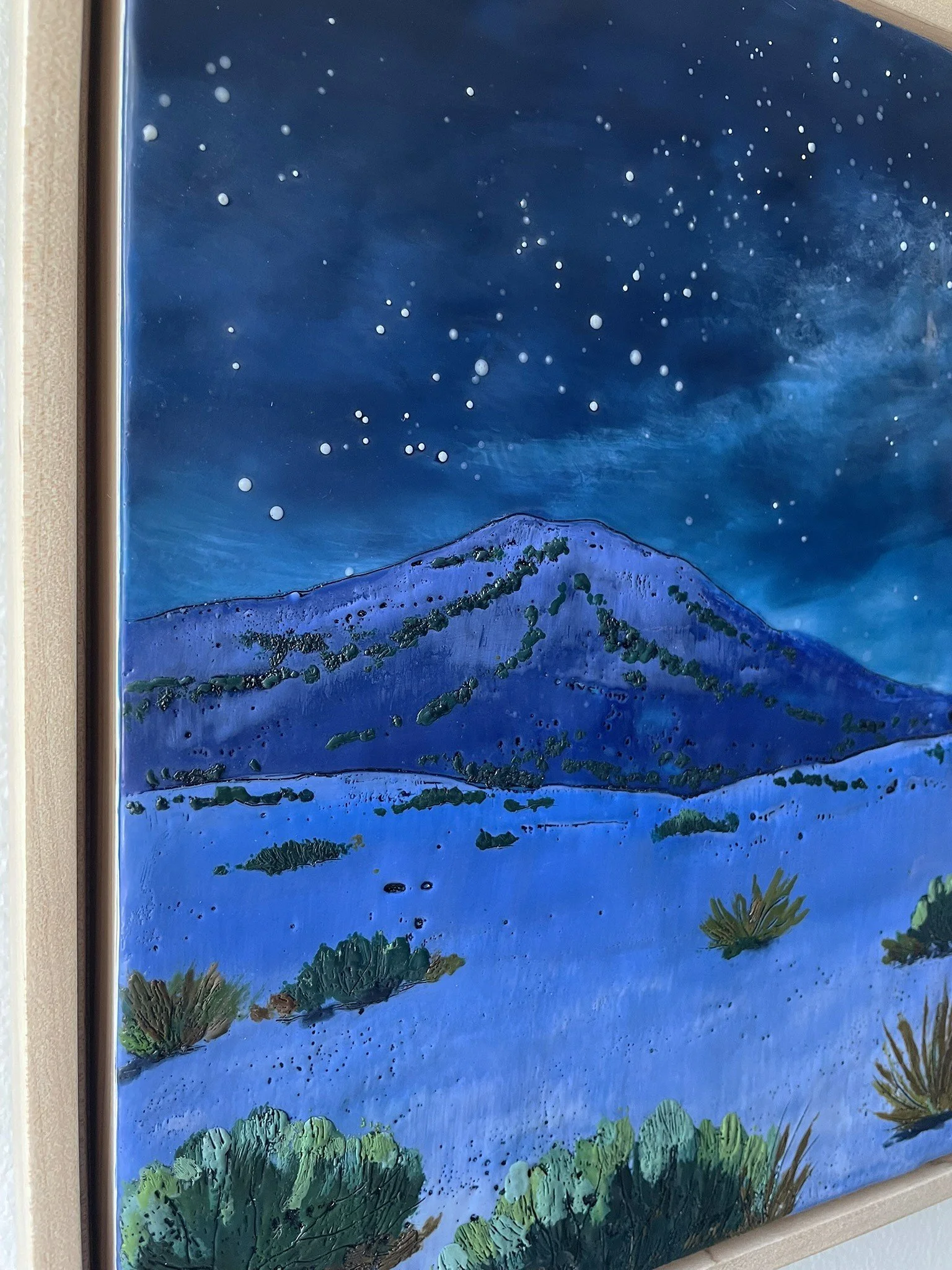 nocturnal winter detail (2).JPEG