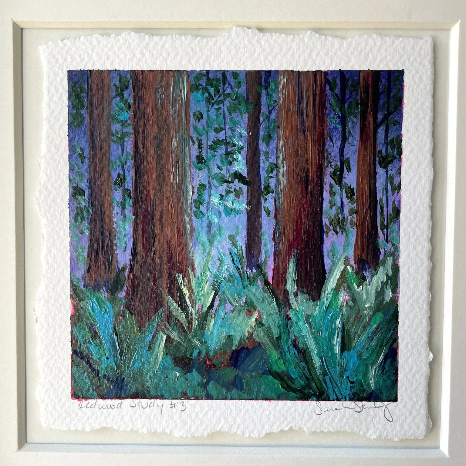 Redwood study 3 close up.JPEG