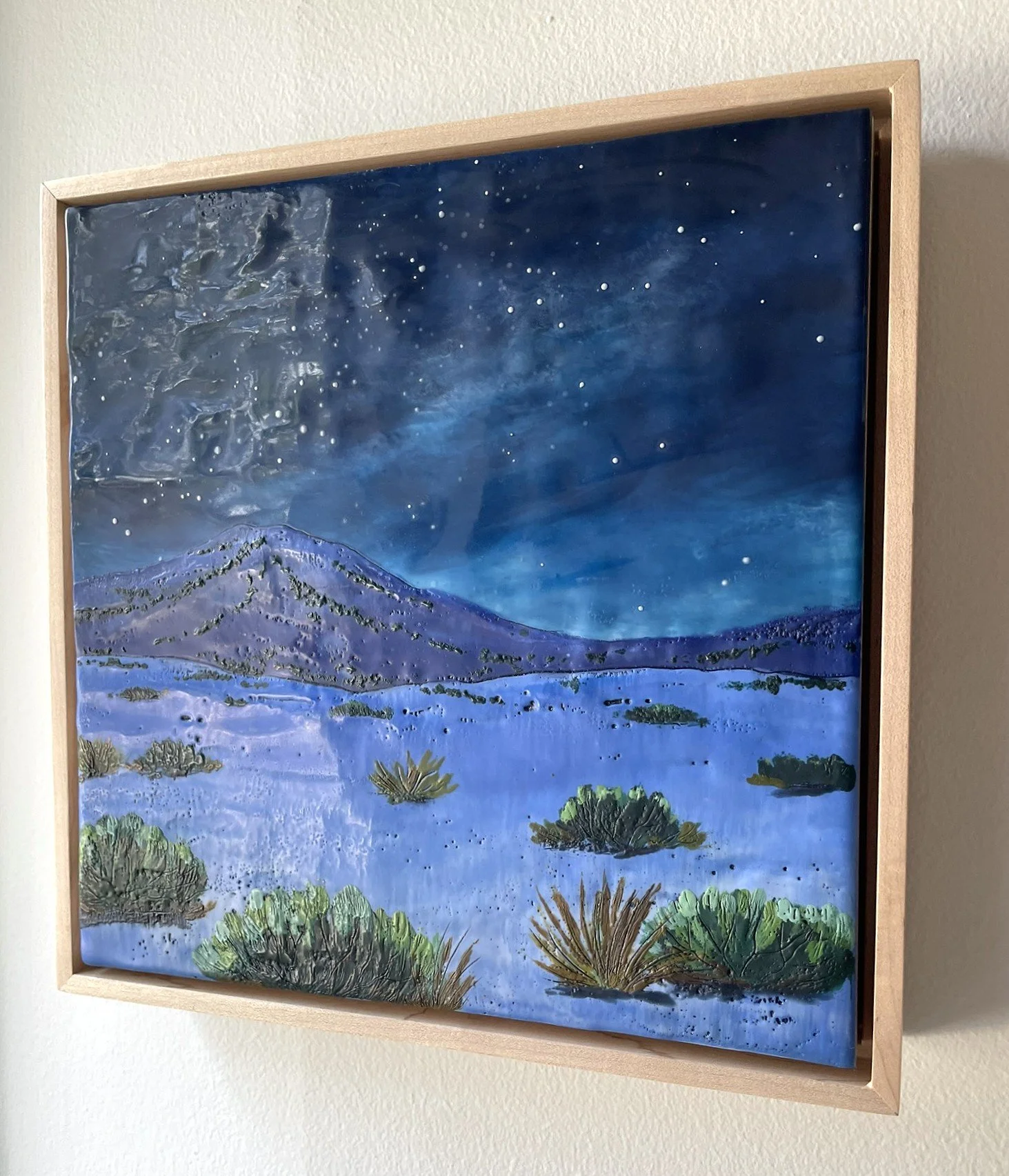 nocturnal witner side.JPEG