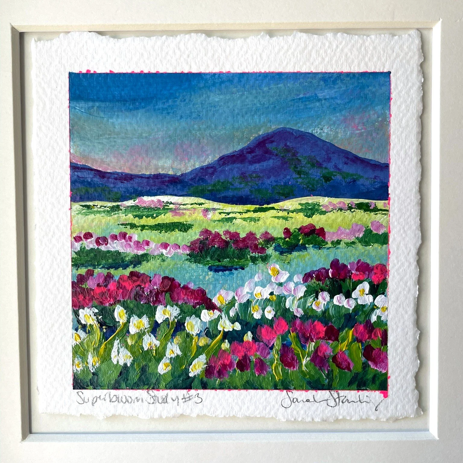 Superbloom study 3 close up.JPEG