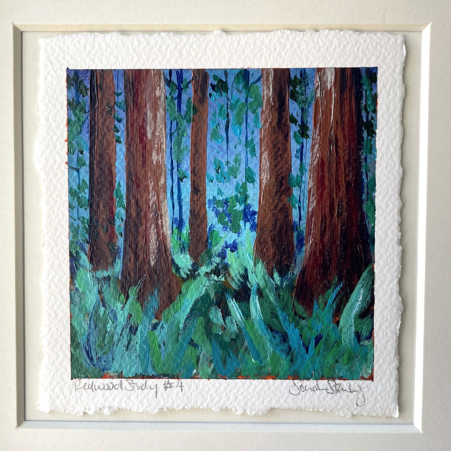 Redwood study 4 close up.JPEG