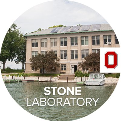 StoneLab.png
