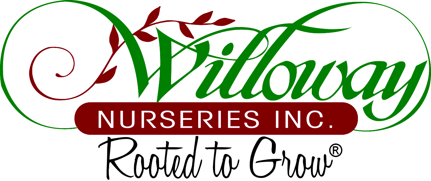 WillowayNurseries.png