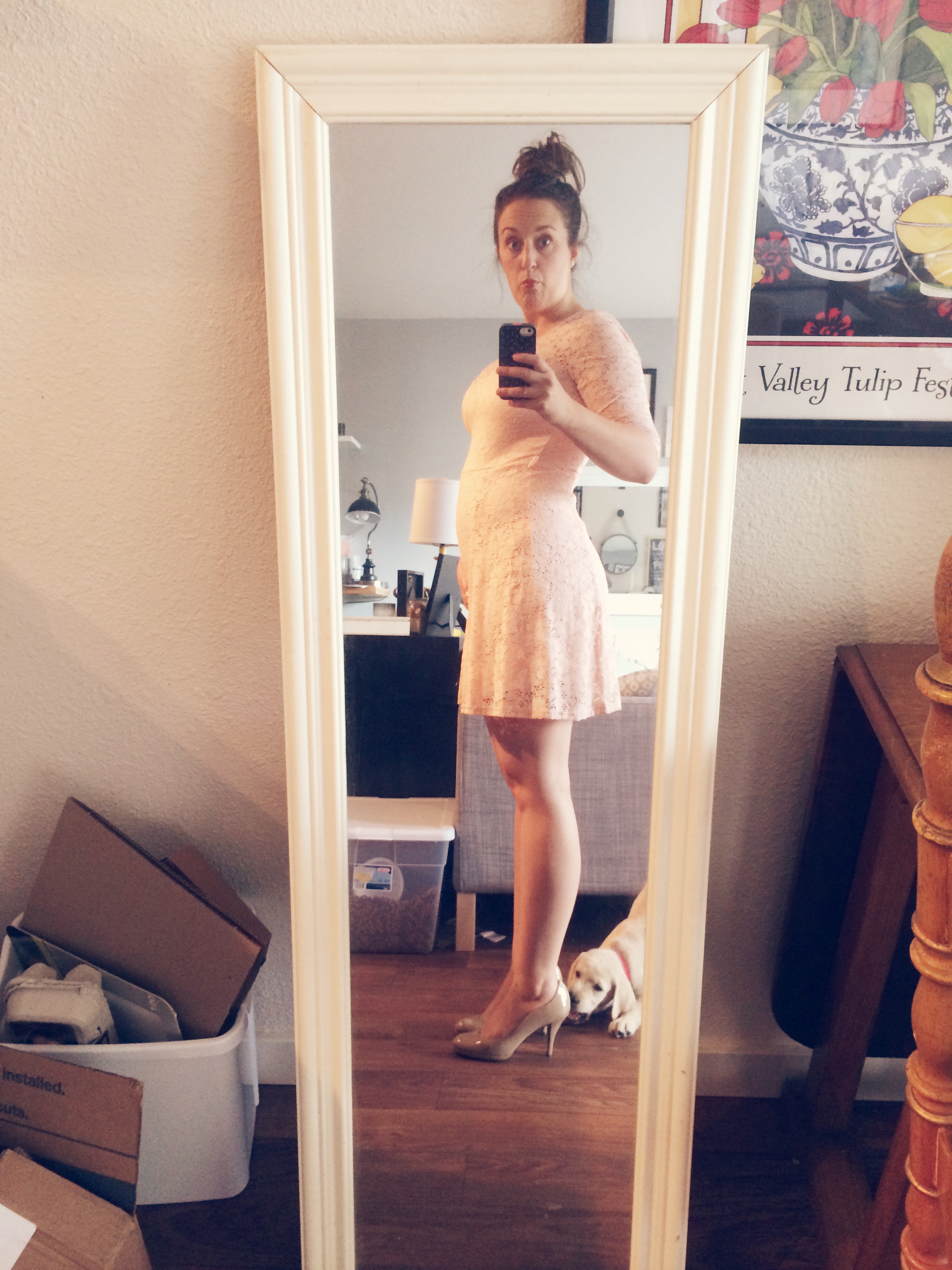 17 weeks. Making sure my bridesmaid's dress for Abby's wedding still fits! And Butter is a troll, as usual. 