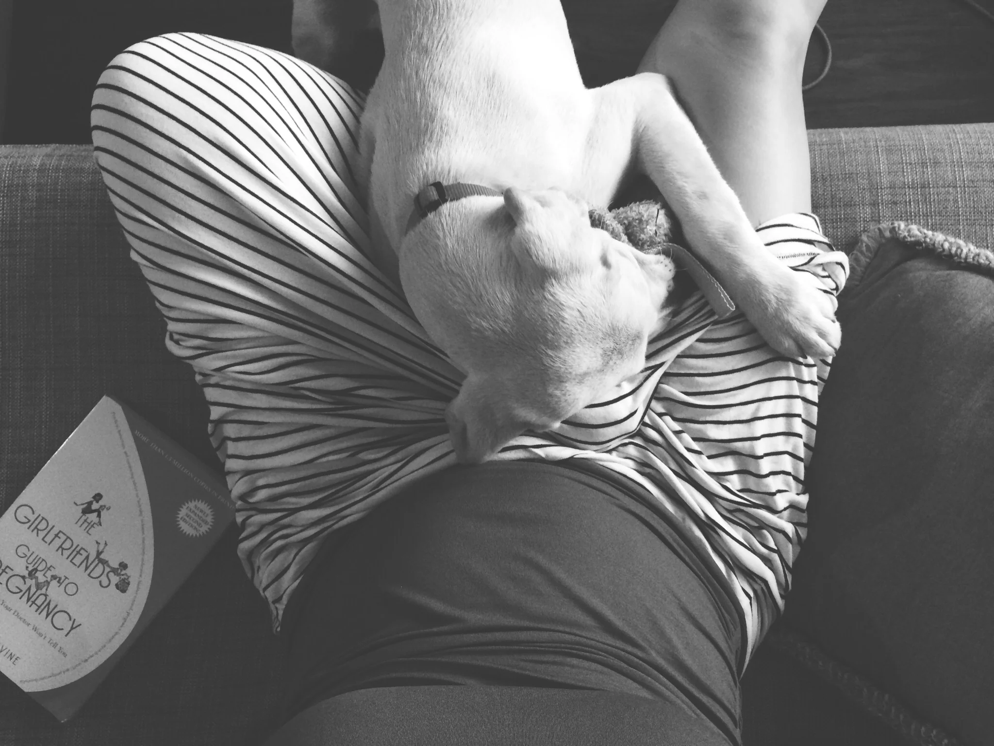 25 weeks
