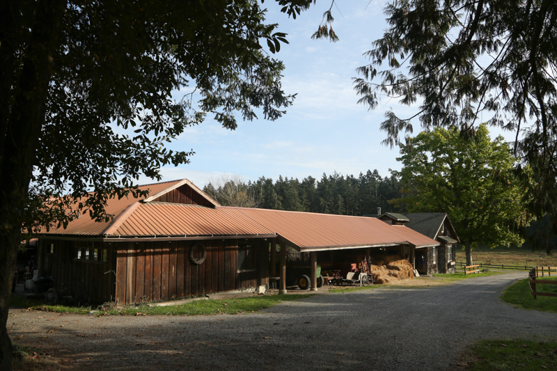 The guest house and one of the barns. 