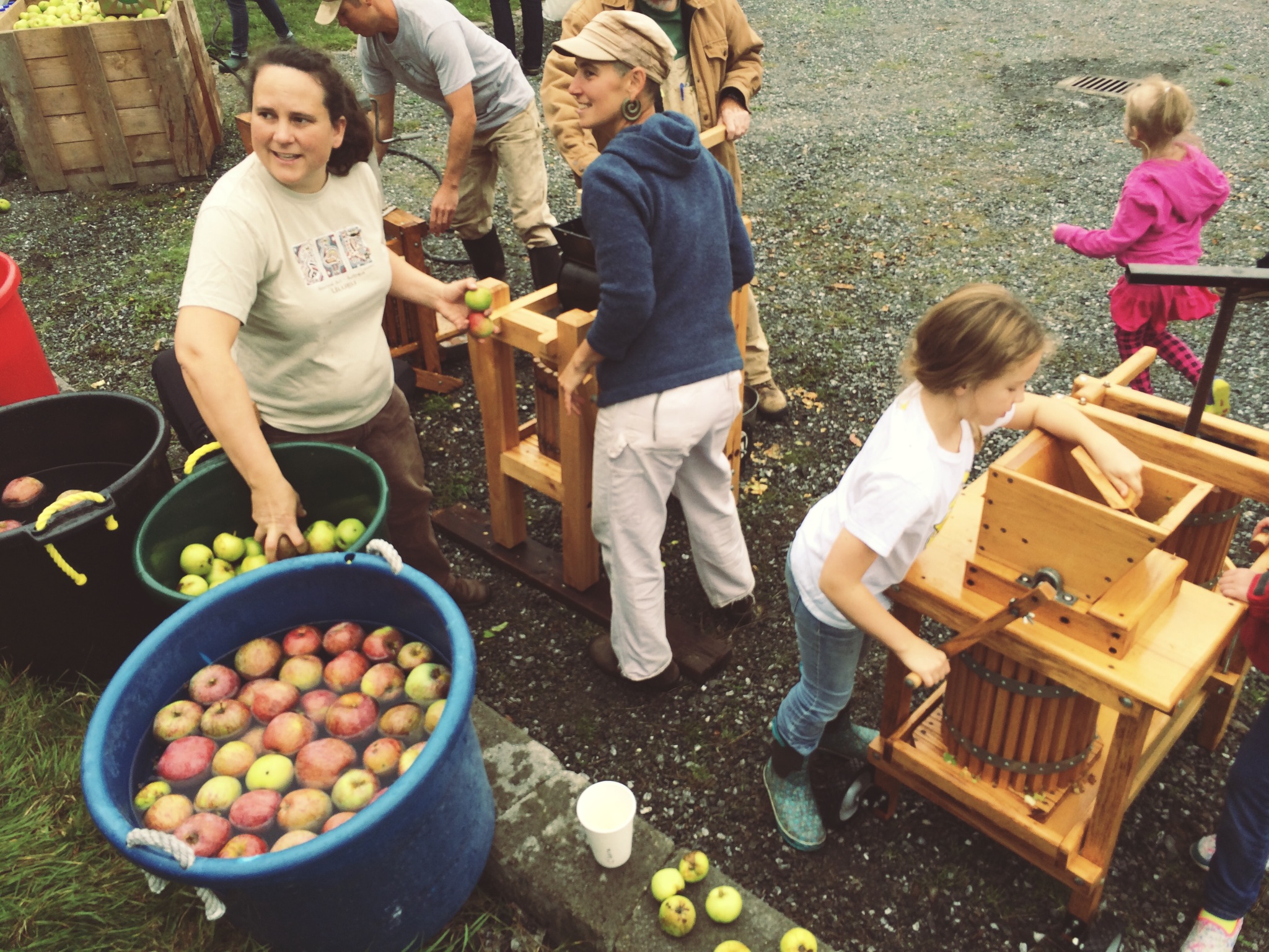 They had rented some cider presses for the day, and the cider they were making was SO GOOD. 