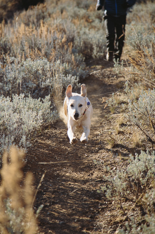 ... I'll leave it to Butter. She's got hops. 