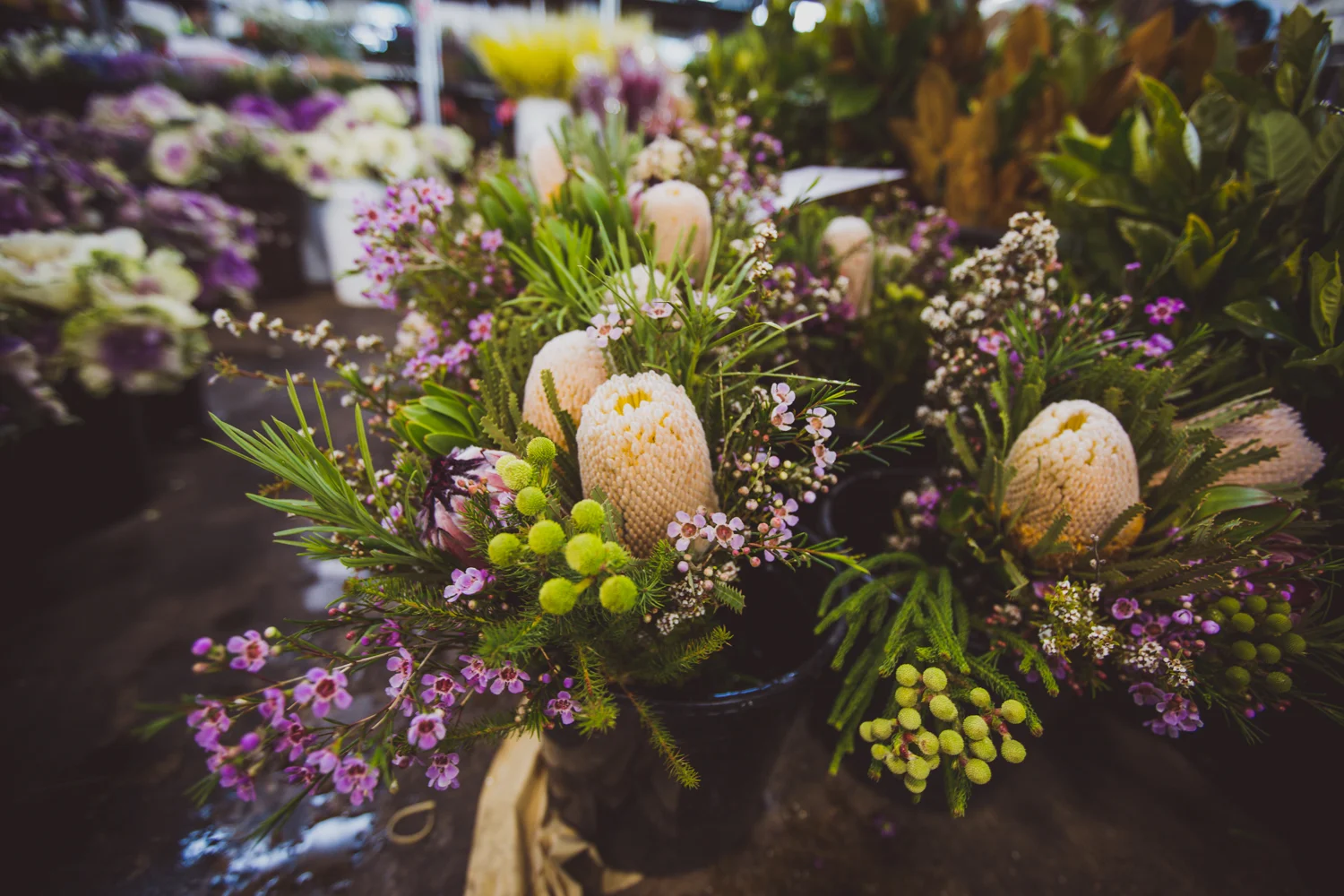 Flower Markets _ LR-5.jpg