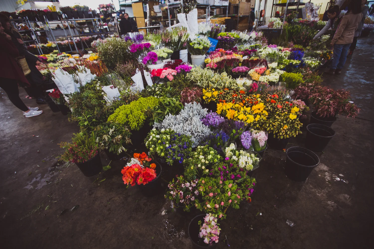 Flower Markets _ LR-13.jpg