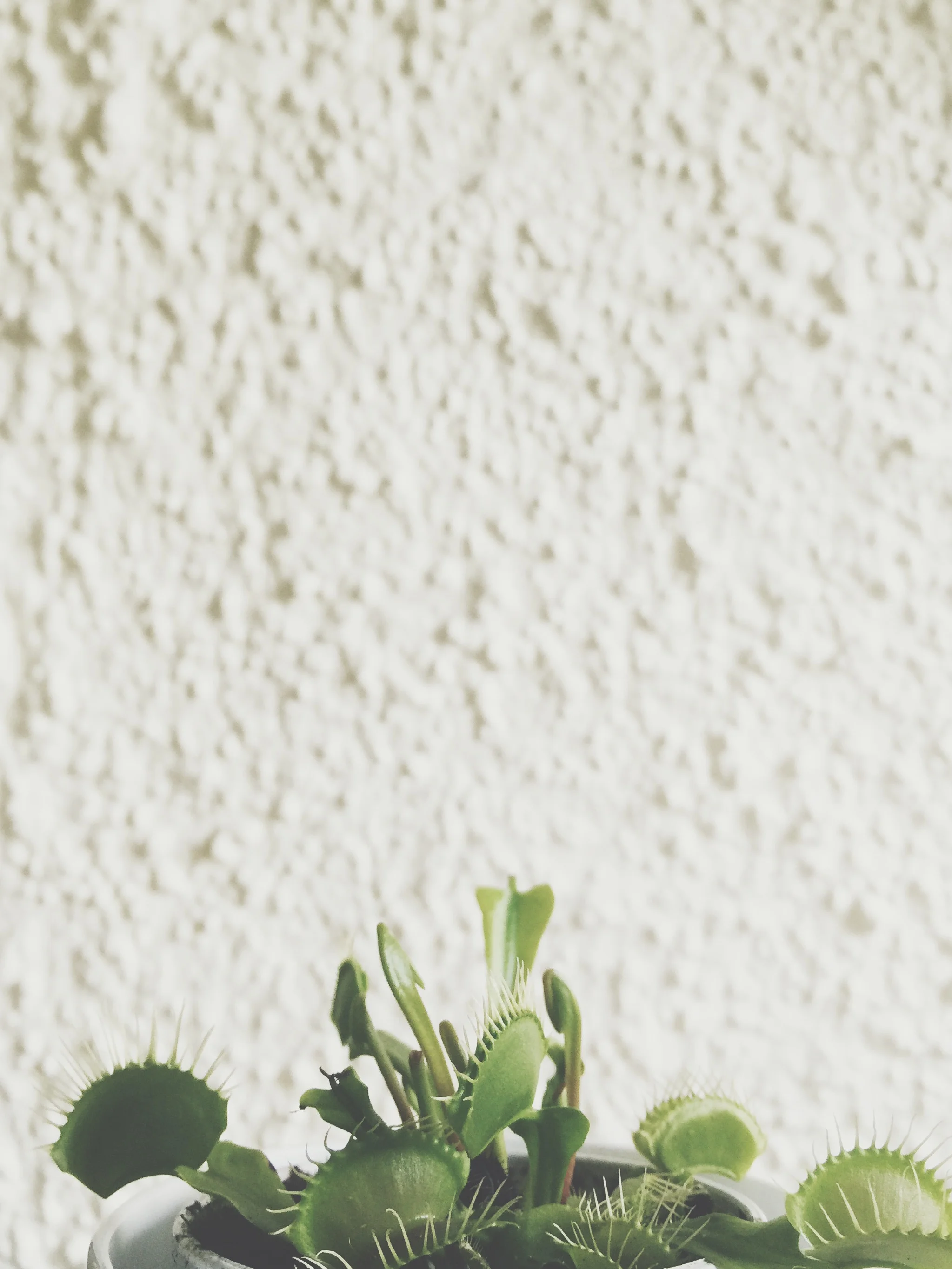 Processed with VSCOcam with t1 preset