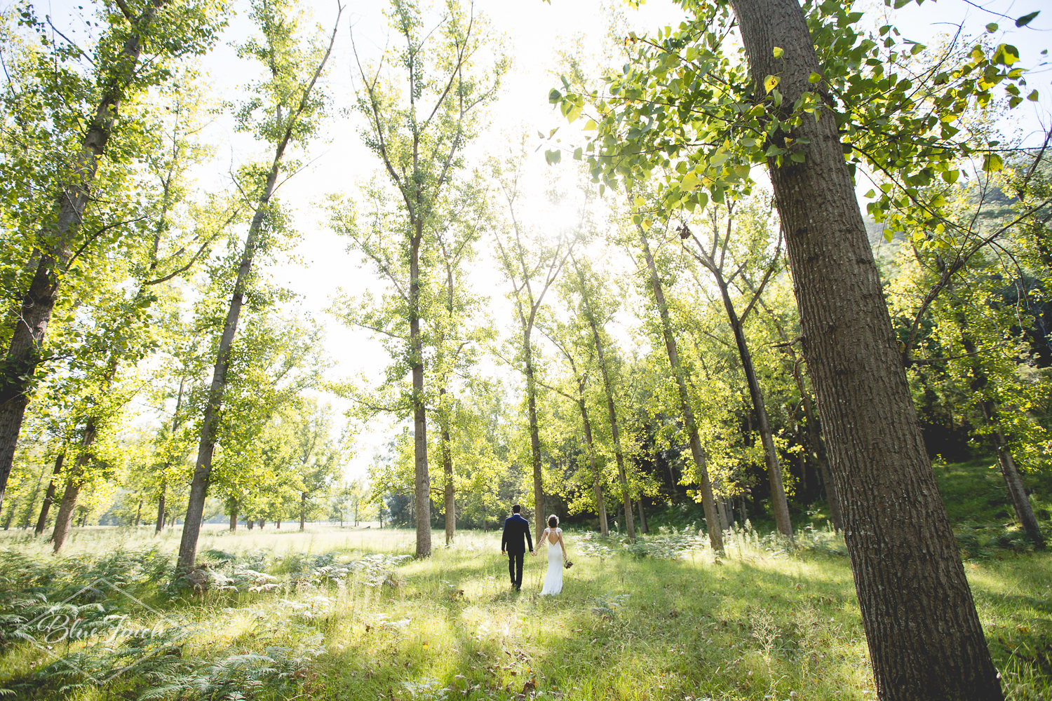 Corinne + Ali preview-88.jpg
