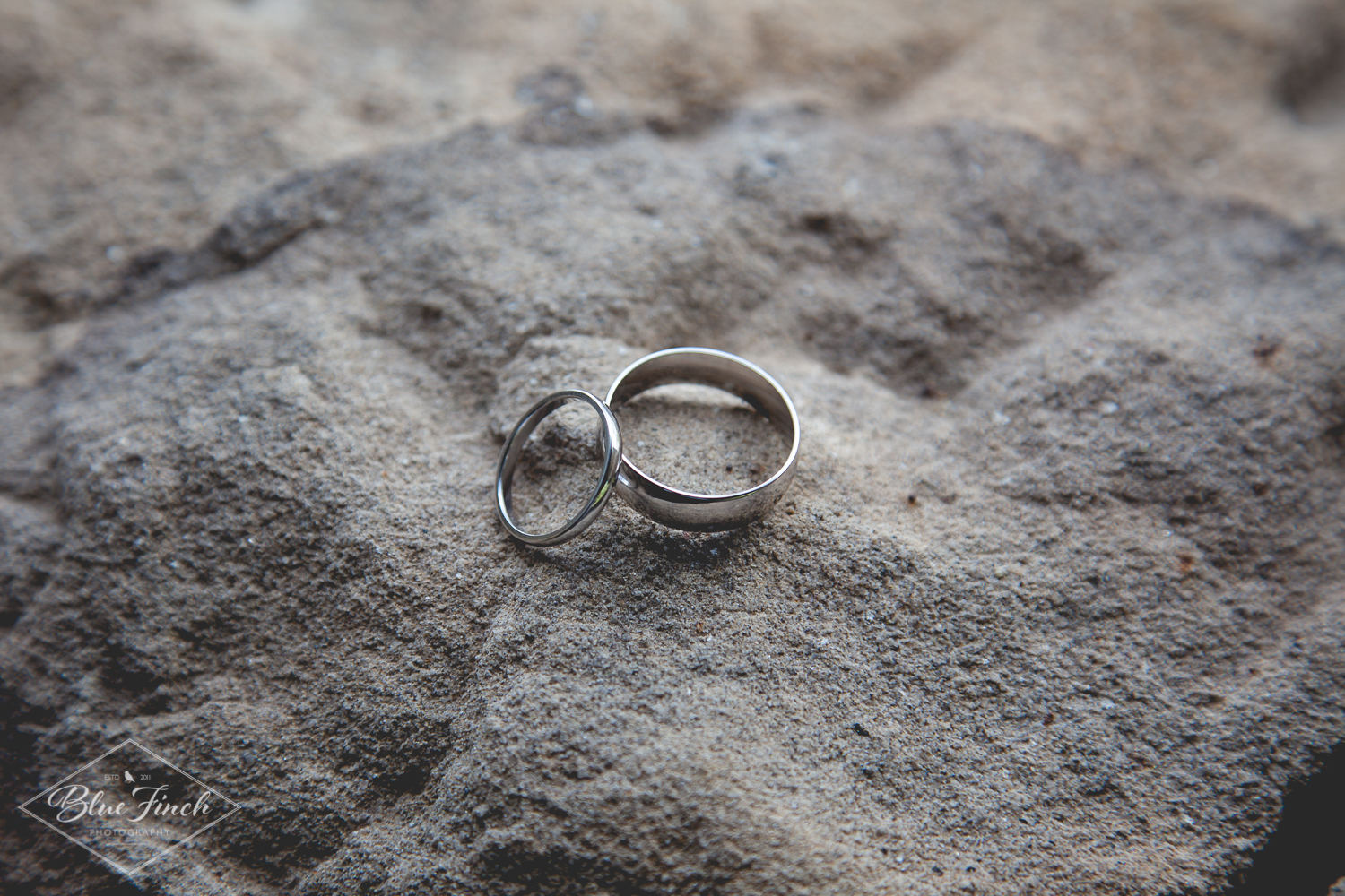 Corinne + Ali preview-127.jpg