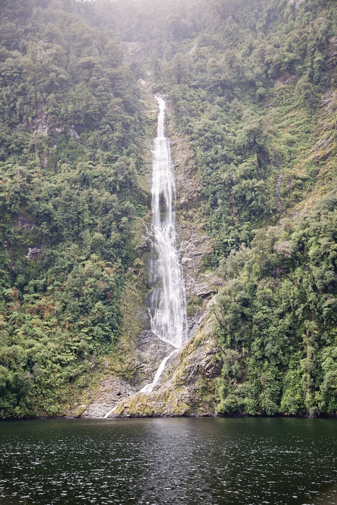 NZ LR-119.jpg