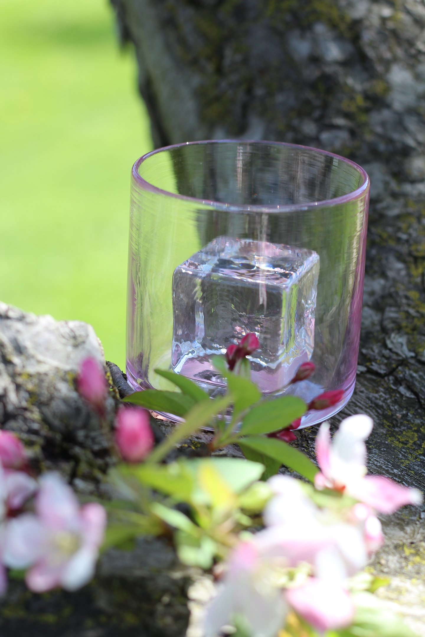 pink blossom edited.JPG