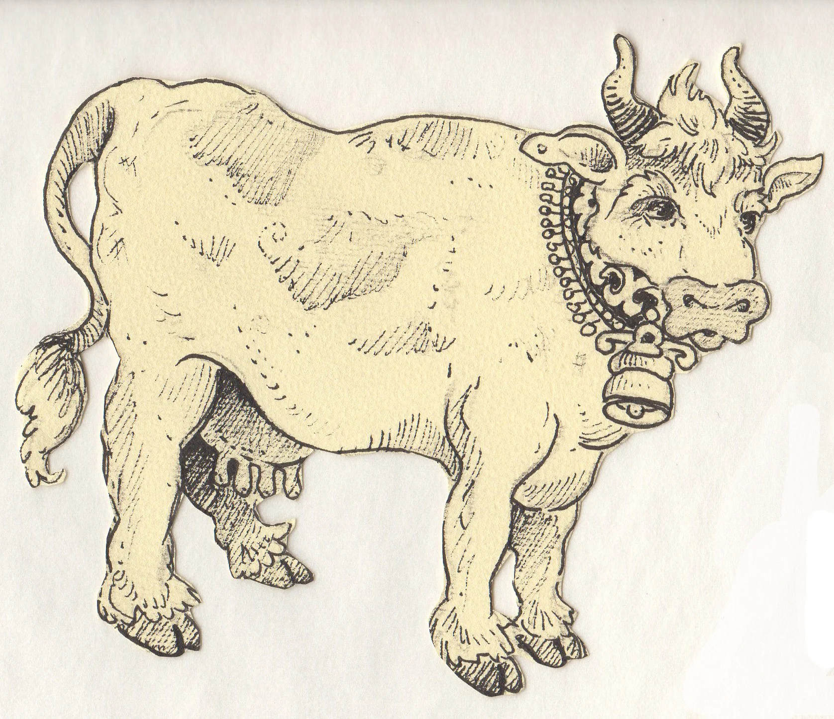Colton Scancow011.jpg