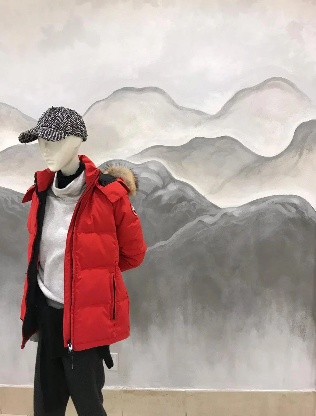 thumbnailzf hgnxf.jpeg