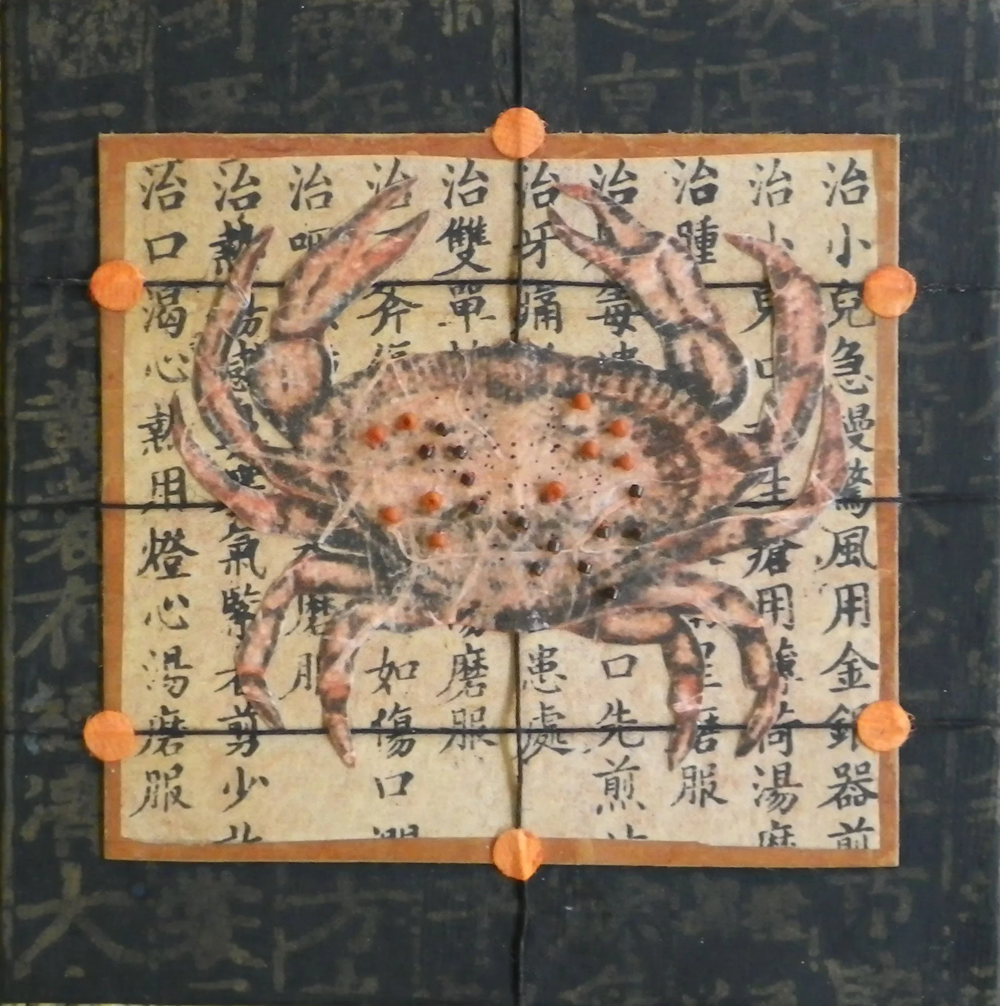Beaded Crab