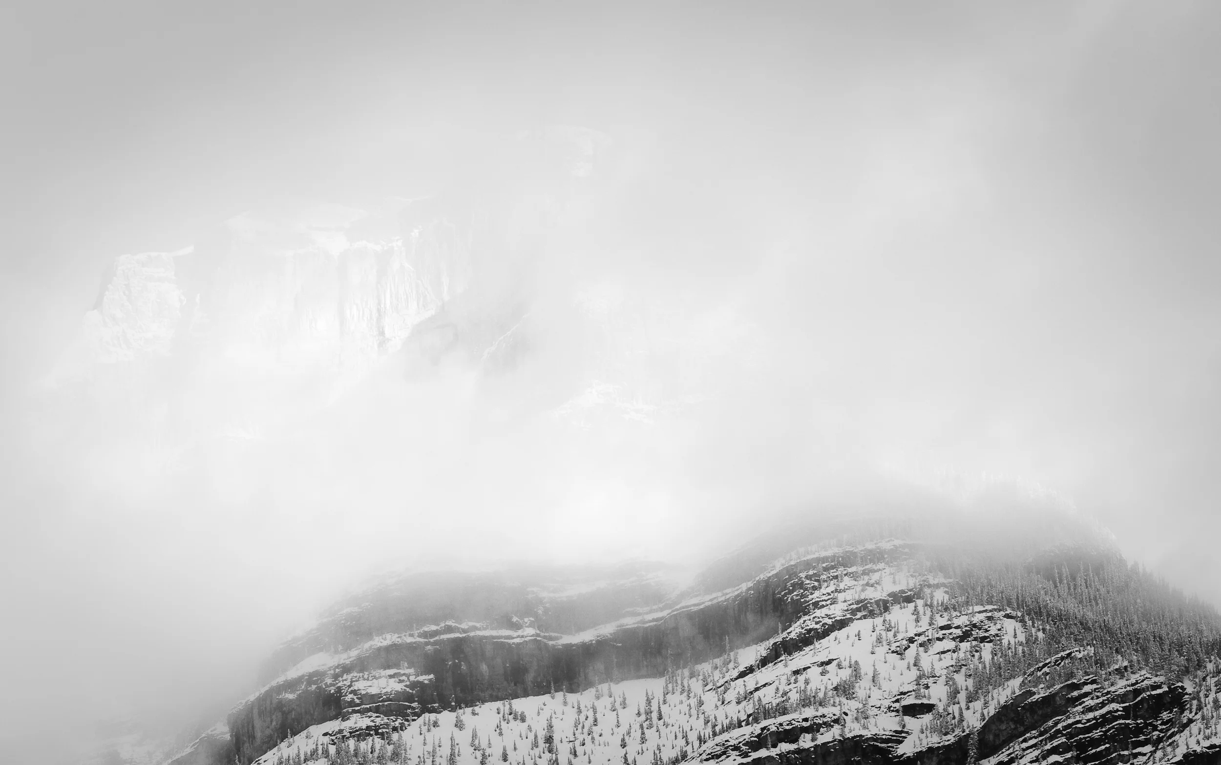 _MG_1627-Edit.jpg