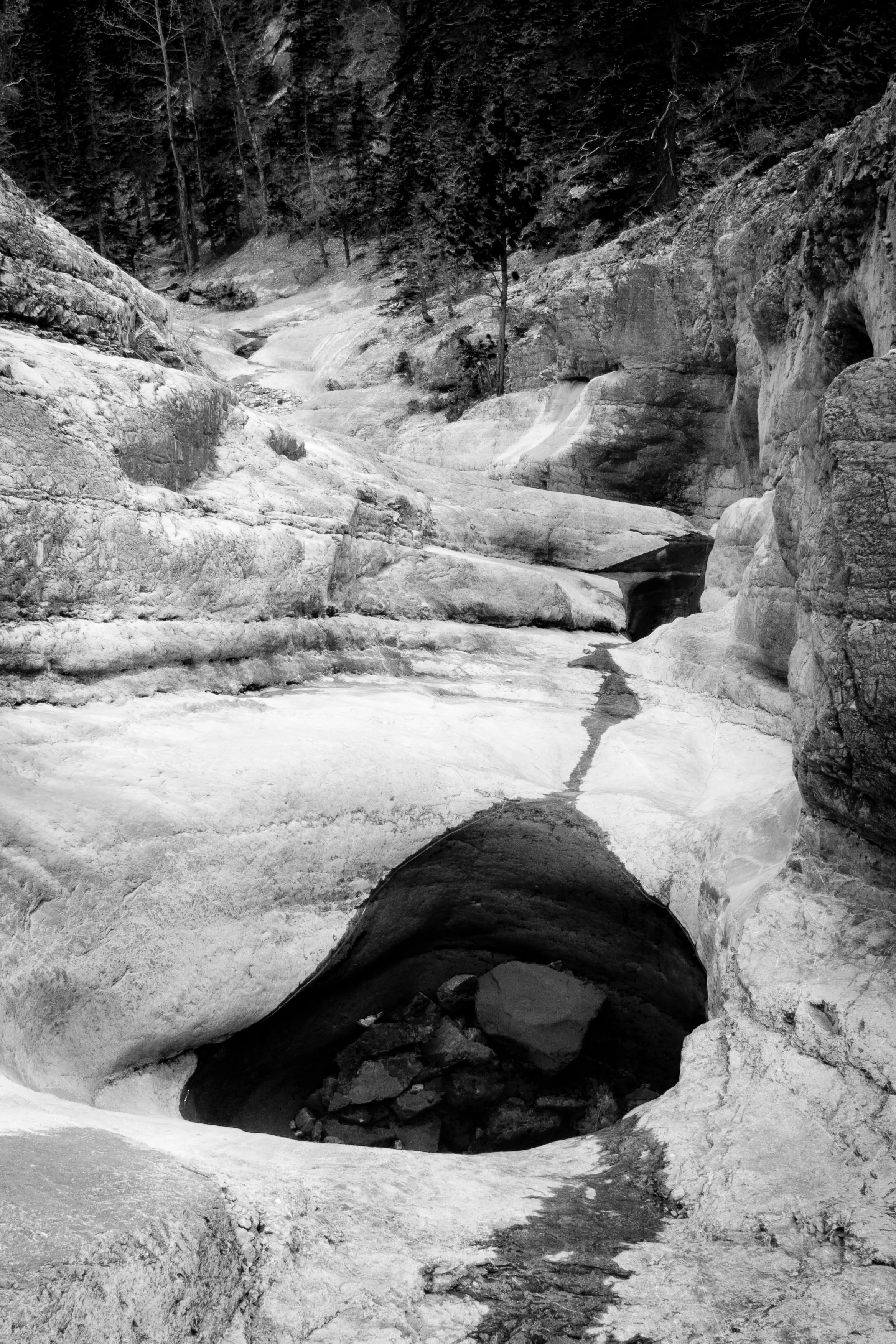 Steve's Canyon_12.jpg