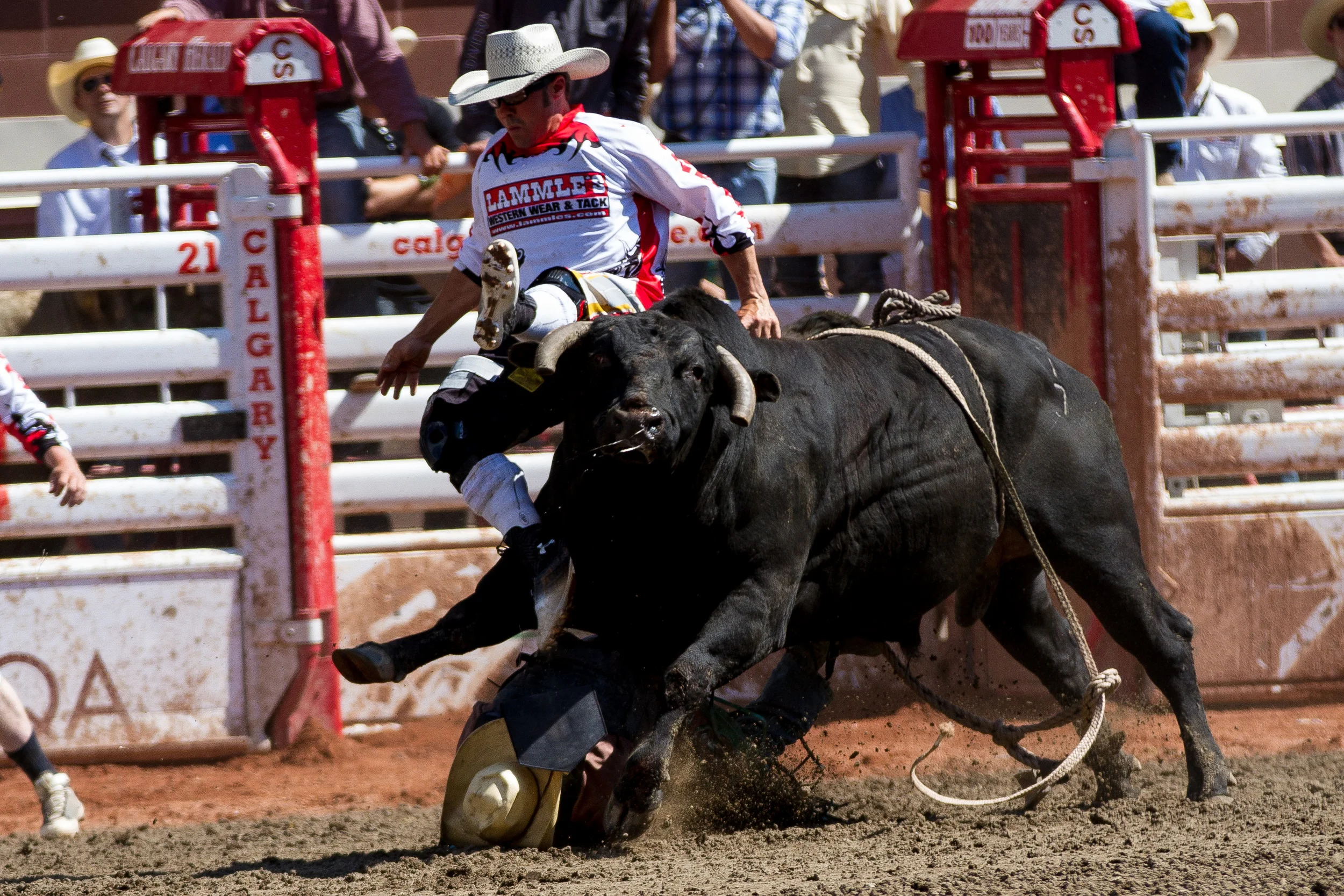 Rodeo-486.jpg