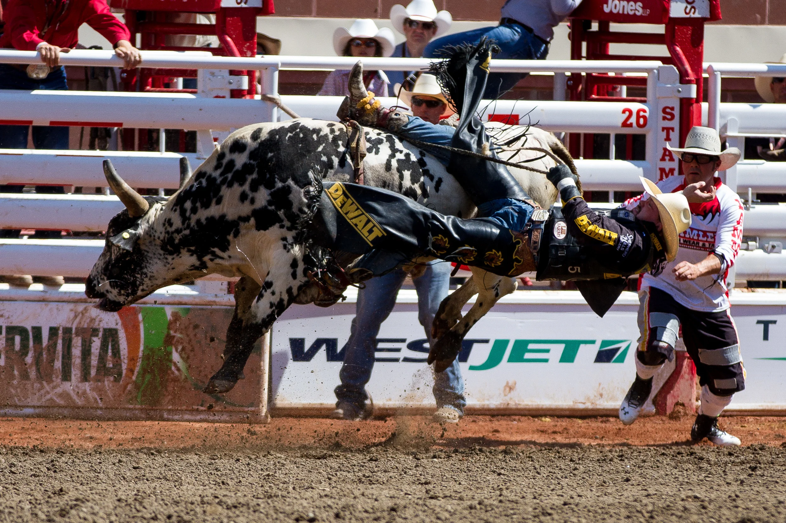Rodeo-440.jpg