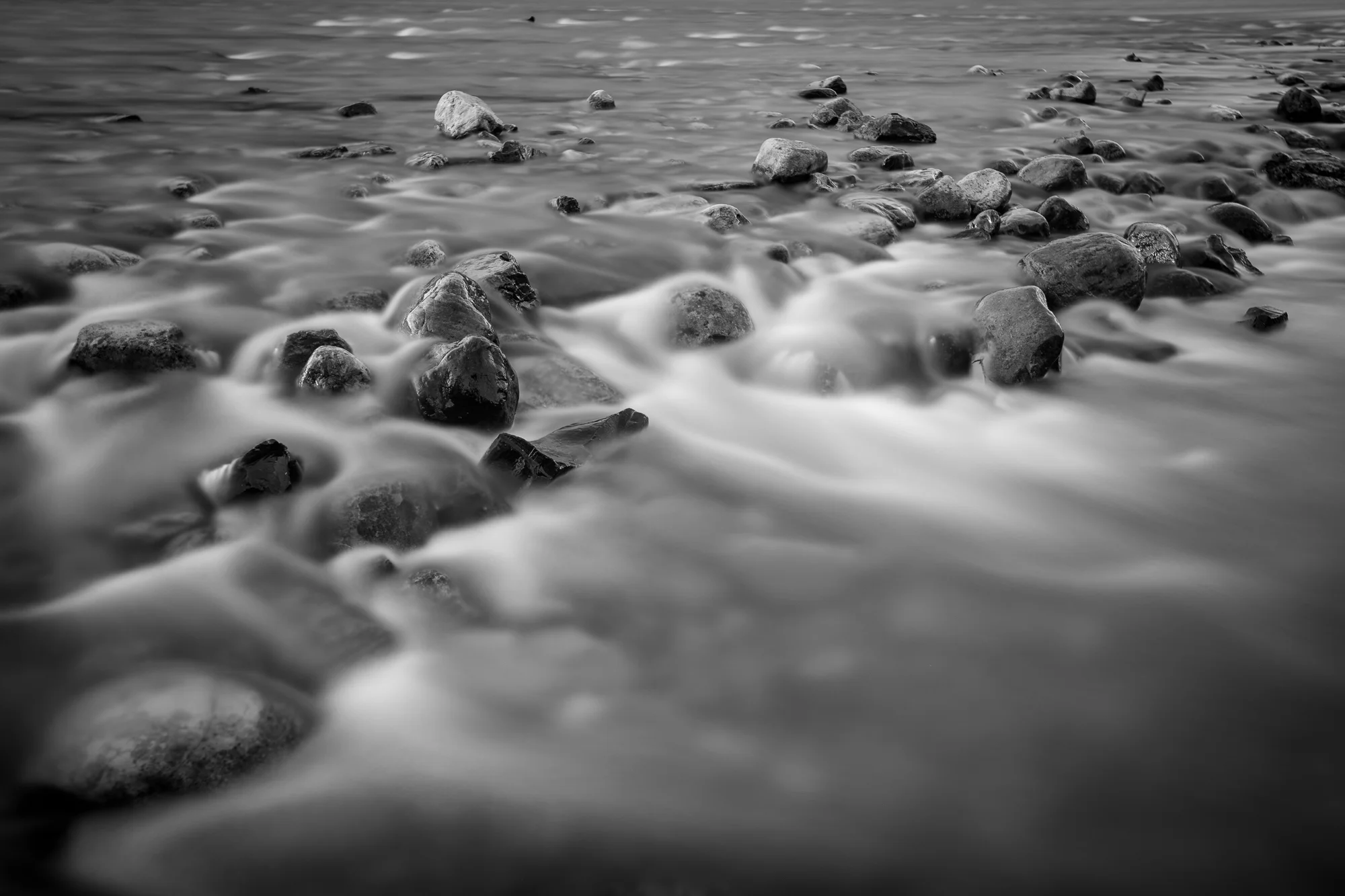 _MG_1343.jpg