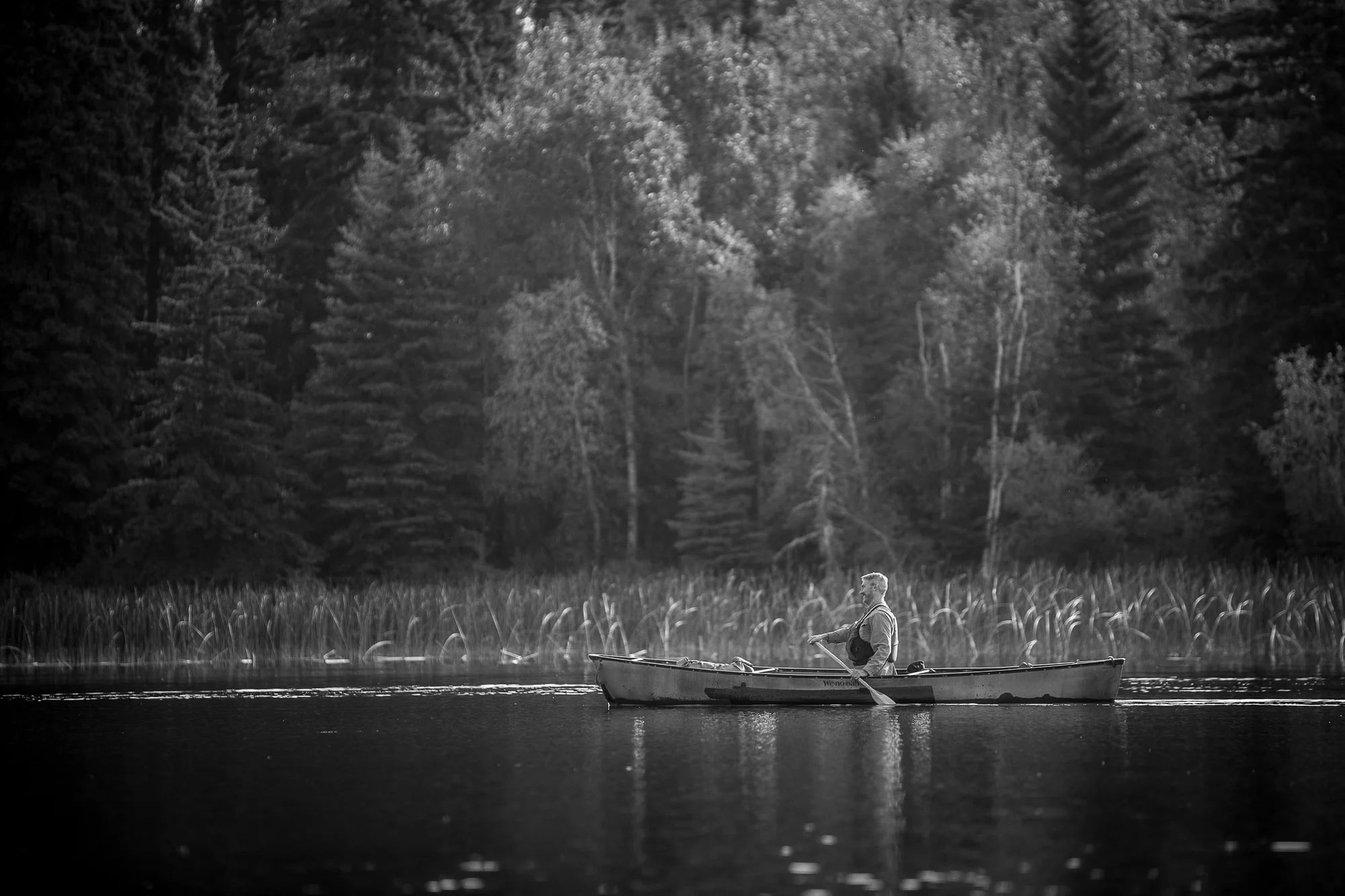 _MG_2110.jpg